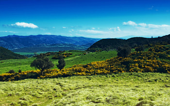 Nature, Grass, Sky, Summer, Dahl, Distance HD wallpaper