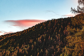 Nature, Trees, Sky, Autumn, Elevation HD wallpaper