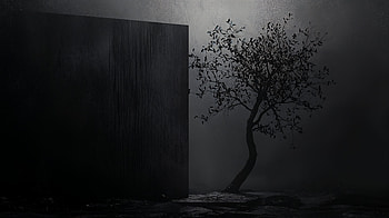 Dark Minimalist Serenity: A Ultra, tree, Abstract, monochrome, shadow HD wallpaper