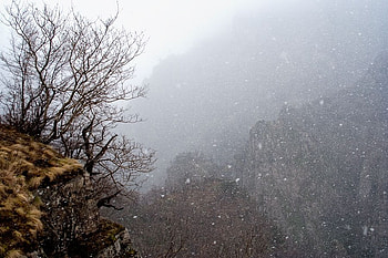 East Rila mountain, graphy, snow, bulgaria, beautiful, rocks, forest, mountain HD wallpaper