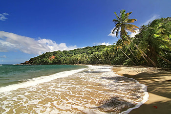 Dominica Island, Caribbean paradise, Unspoiled beauty, Exotic retreat HD wallpaper