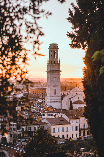 Cities, Sunset, Architecture, City, Branches, Tower HD phone wallpaper