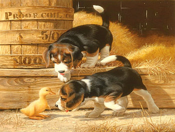 Getting acquainted, sweet, straw, barn, puppies, cute, meet, yard, animals, hay, adorable, duckling, home HD wallpaper