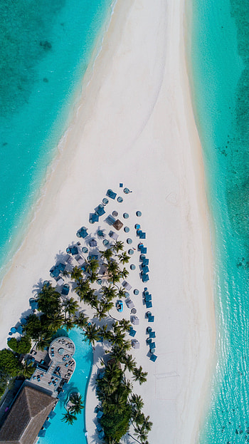 Nature, Sea, Beach, Palms, Building, View From Above, Island, Pool HD phone wallpaper