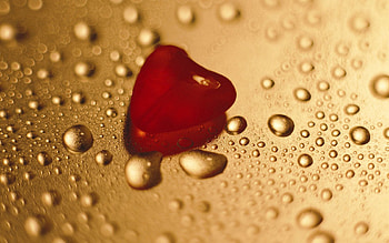 Love, Drops, Rock, Surface, Stone, Heart HD wallpaper