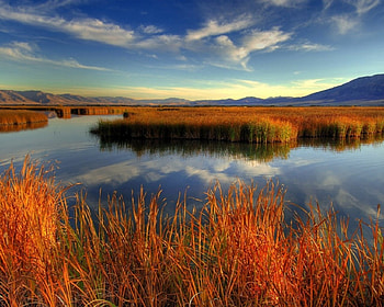 Evening on the Lake, clouds, autumn, grass, lake HD wallpaper