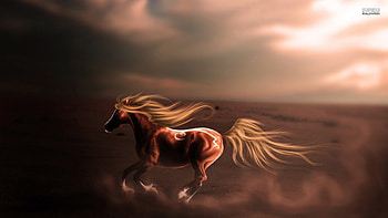 Running with the sun, horse, running, animals, cavalo, caballo, sun HD wallpaper