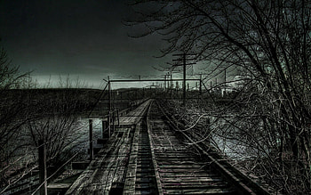 Rails, Nature, Bush, Railway, Gloomy, Grayness, Greyness HD wallpaper