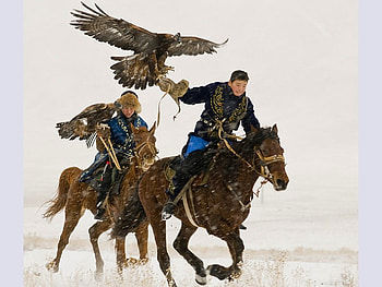 Horses w Riders, beautiful HD wallpaper