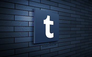 Tumblr 3D logo, , blue brickwall, creative, social networks, Tumblr logo, 3D art, Tumblr HD wallpaper