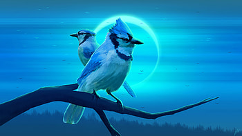 Bluejay Eclipse , birds, artist, artwork, digital-art, deviantart HD wallpaper