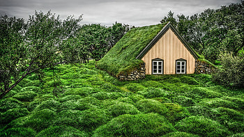 When Heaven Calls Your Name - A small church with a graveyard - Hofskirkja, Iceland, plants, Chapel, clouds, trees, sky HD wallpaper
