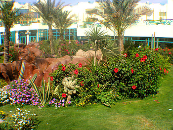 Grand Azur Hotel outside, hurghada, architecture, grand azur hotel, hotels, egypt HD wallpaper
