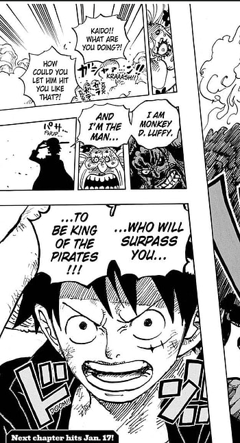 One piece, yonkou, emperor of the sea, king of the pirets, zoro, monkey D Luffy, one piece HD phone wallpaper