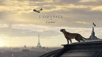 Cartier jewelry, Luxury brand, Timeless elegance, Fine craftsmanship HD wallpaper