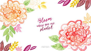 [ “Bloom where you are planted” ] ... HD wallpaper