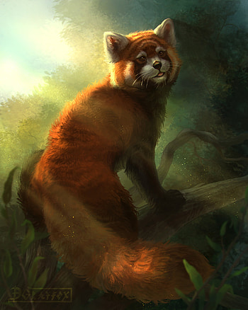 Art, Forest, Wildlife, Animal, Little Panda, Small Panda HD phone wallpaper