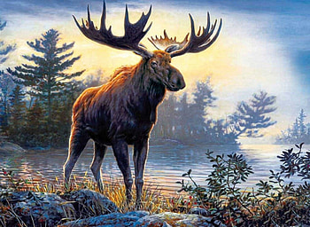Early in the Morning, animal, elk, trees, morning HD wallpaper