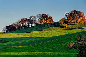 Nature, Trees, Grass, Sky, Hills HD wallpaper