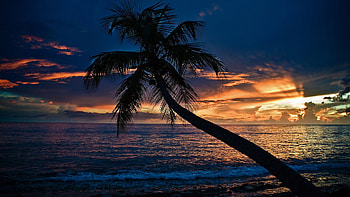 beach original romantic night HD wallpaper
