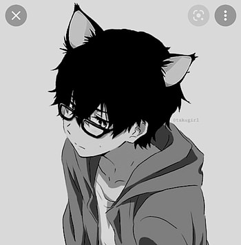 Cat boi HD phone wallpaper