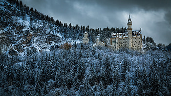 Neuschwanstein Castle, winter, castle, neuschwanstein, snow HD wallpaper