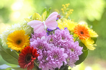 Flowers basket, colorful HD wallpaper