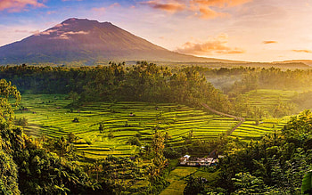 Bali's natural beauty, Stunning , Serene rice fields, Breathtaking sunsets HD wallpaper