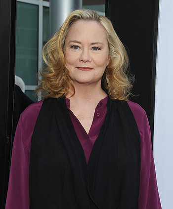 Cybill Shepherd, Les Moonves, TV sitcom, Career setback HD phone wallpaper
