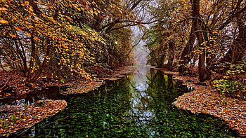 Autumn-of-the-river-Salza-near-Nordhausen-Harz-in-Germany, river, graphy, Fall, landscape, germany, nature, salza, Autumn HD wallpaper