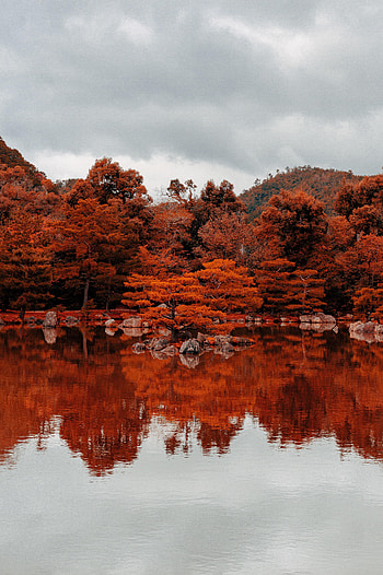 Nature, Trees, Autumn, Lake, Reflection HD phone wallpaper