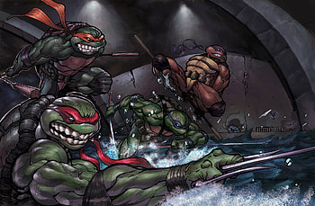 Cartoon, Tmnt HD wallpaper