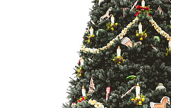 Holidays, Decorations, Candles, Christmas Tree HD wallpaper