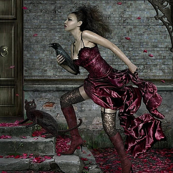 Girl with Cat and Raven, feathers, fur, abstract, door, wall, female, beak, bird, steps, cat, tail, artwork, leaves, whiskers, fantasy, ears, boots HD wallpaper