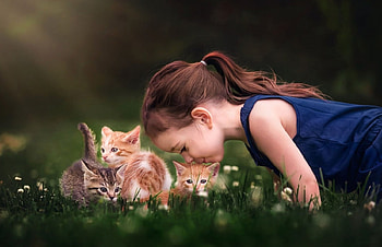 cute, girl, abstract, kittens HD wallpaper