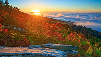 Autumn Sunrise in North Carolina, leaves, clouds, trees, colors, sky, forest, sun, usa HD wallpaper