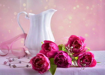 Peonies, white, flowering, vase, spring, still life, pink, walllpaper, red, flowers HD wallpaper