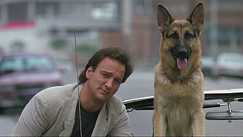K-9 movie, Police partner, Crime-fighting duo, Buddy cop HD wallpaper