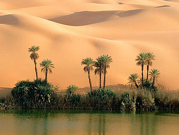 Desert scene, deserts, 3d HD wallpaper