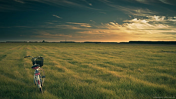 Bicycle In Open Field HD wallpaper