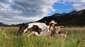 Resting, ranch, brunettes, cowgirls, Elena Generi, horses, hats HD wallpaper