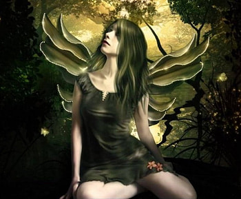 Woodland Flight, fairy, sunlight, woodland, fireflys HD wallpaper