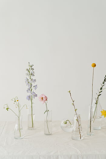 Elegant minimalist floral arrangements displayed in clear glass vases on a white surface. HD phone wallpaper