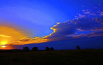 Splash of gold, blue, clouds, trees, sky, gold, sunset HD wallpaper