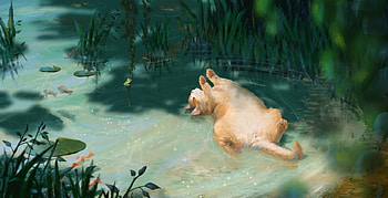 Cat and frog, art, frog, cat, lake, nira stoycheva, summer, pisici, fantasy, luminos, water HD wallpaper