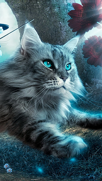 cat, toy, flying, fantasy HD phone wallpaper