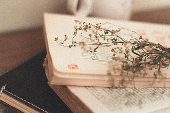 Vintage books with delicate flowers creating a nostalgic mood, perfect for literature lovers. HD wallpaper