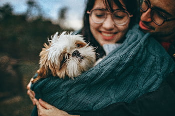 A joyful couple cuddles their Shih Tzu in a cozy blanket during a delightful day outdoors. HD wallpaper