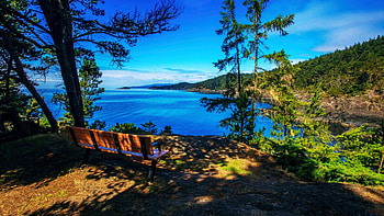 East Sooke Park, Vancouver Island, British Columbia, coast, sea, landscape, trees, sky, canada, forest HD wallpaper