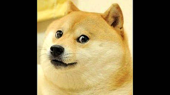 Doge Computer </b HD wallpaper